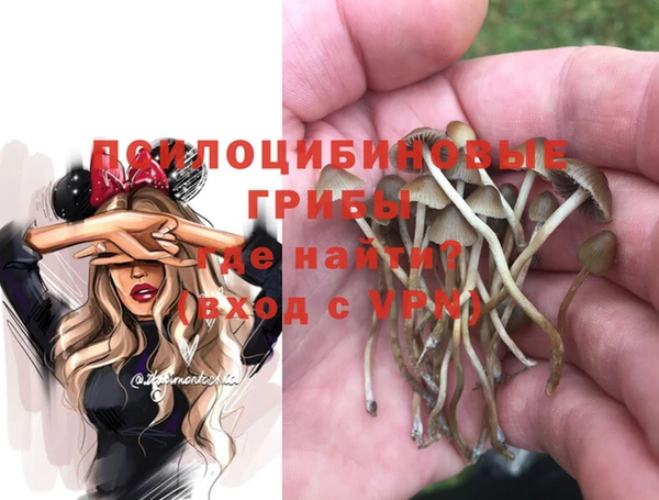 spice Волоколамск
