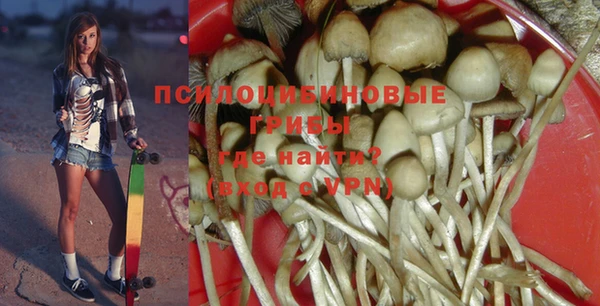 соль курить ск Верхний Тагил